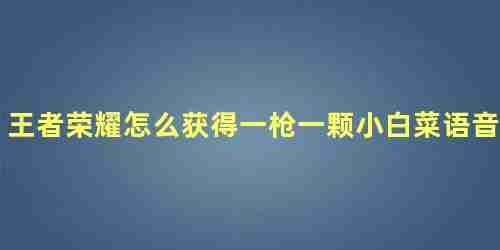 王者荣耀怎么获得一枪一颗小白菜语音包 王者荣耀怎么获得语音包大佬救命